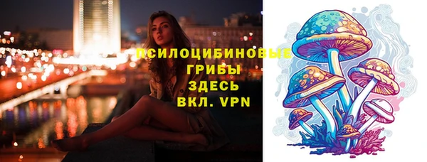 мдпв Абдулино