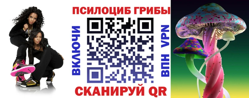 Псилоцибиновые грибы Magic Shrooms  Чкаловск 